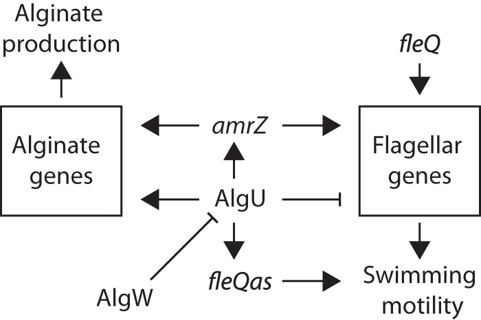 FIG 6