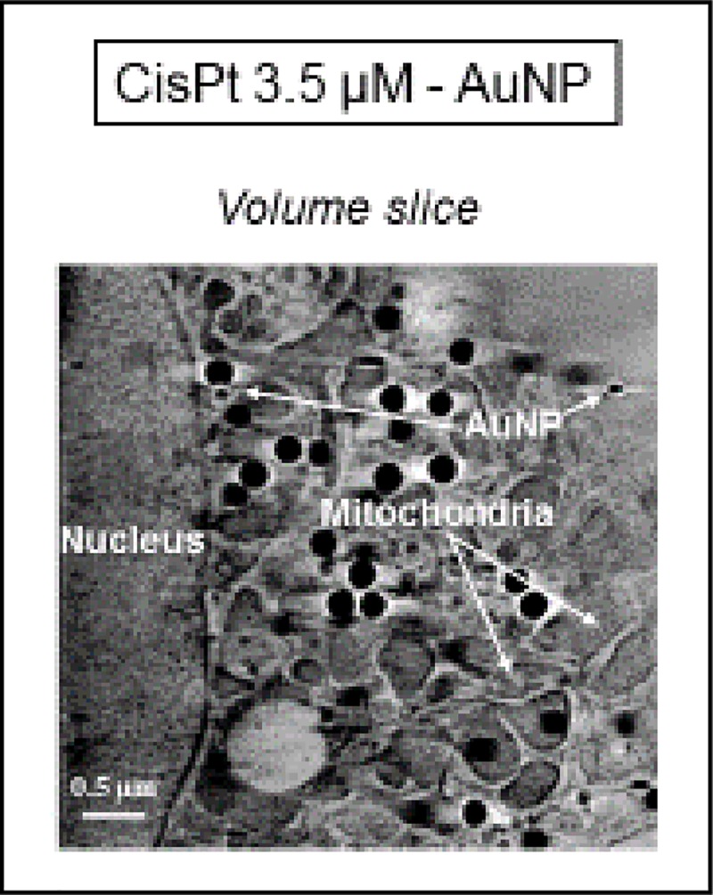 Fig 12