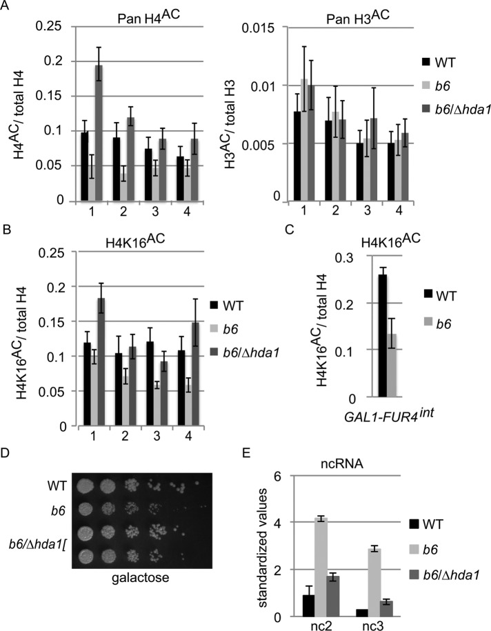 FIGURE 5: