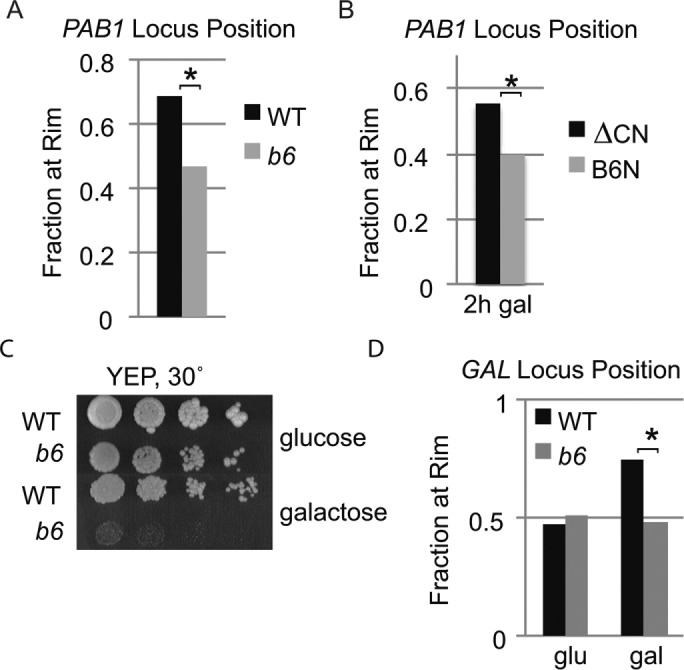 FIGURE 3: