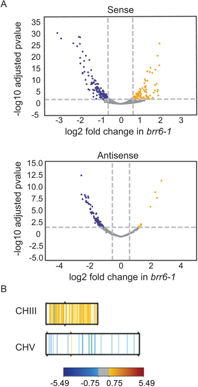 FIGURE 6: