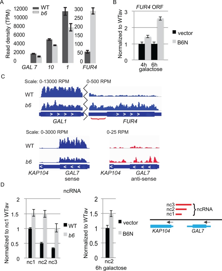 FIGURE 4: