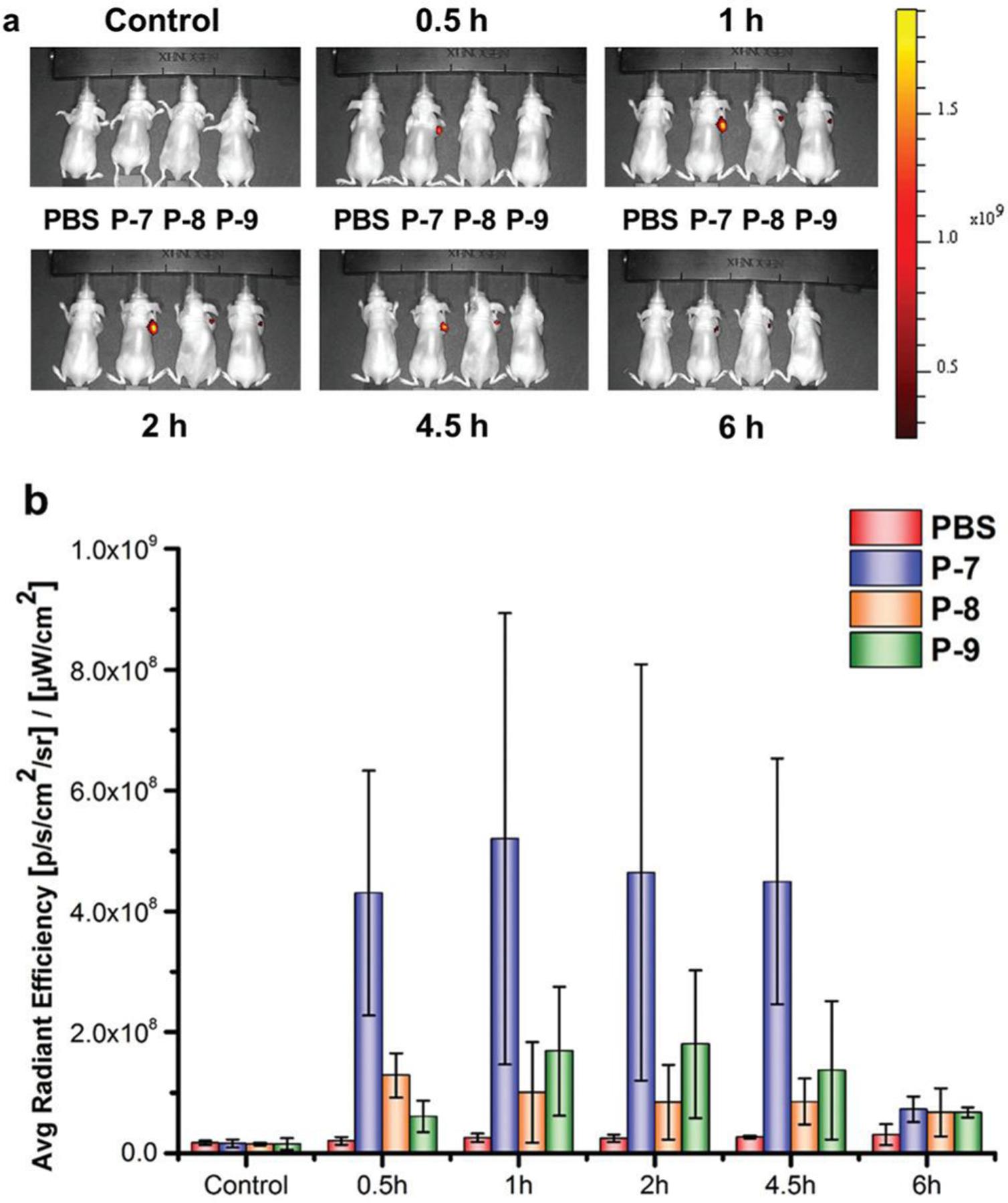 Fig. 6