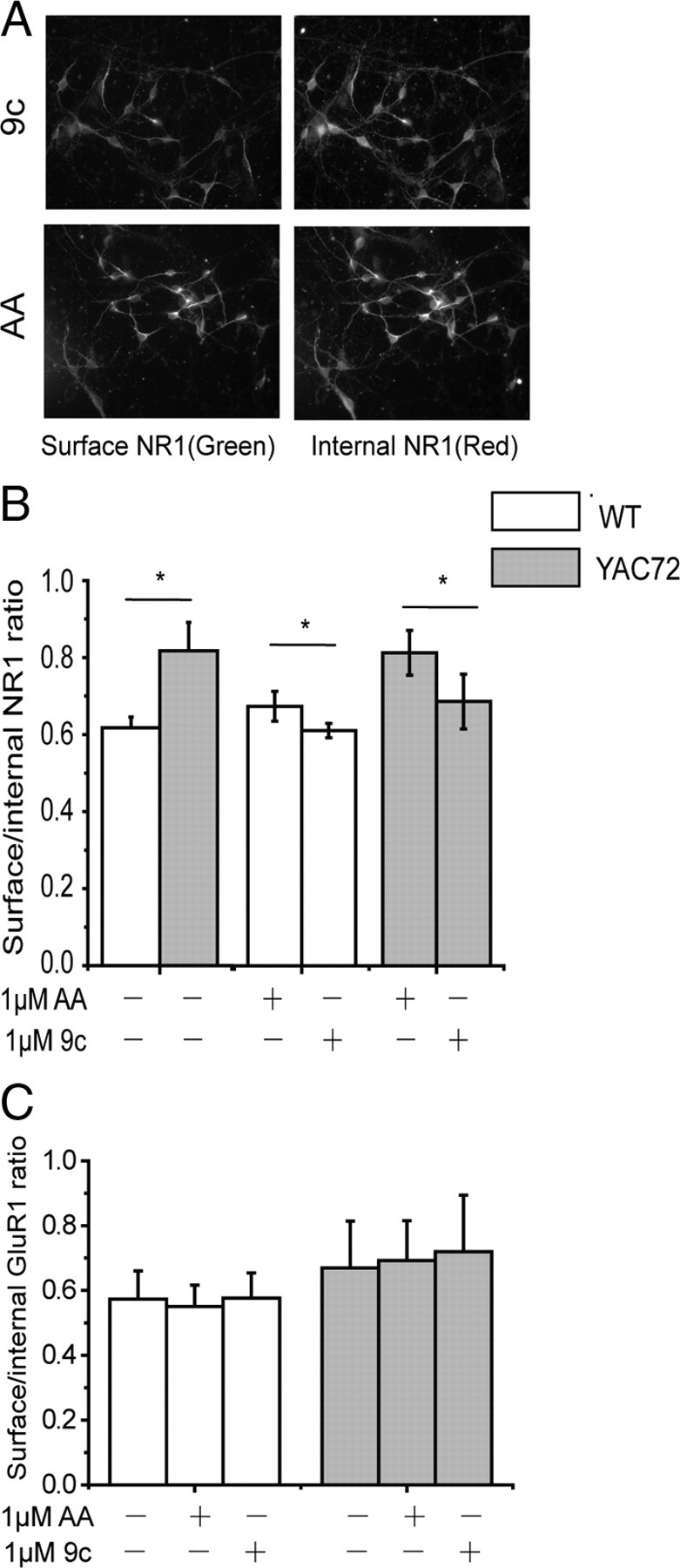 Figure 6.