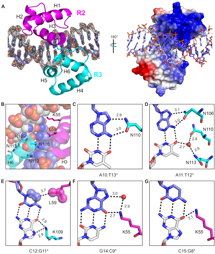 Figure 2.