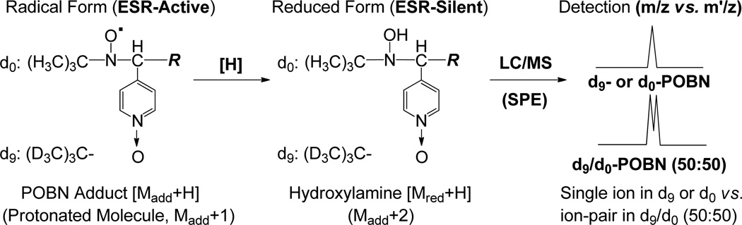 Scheme 3