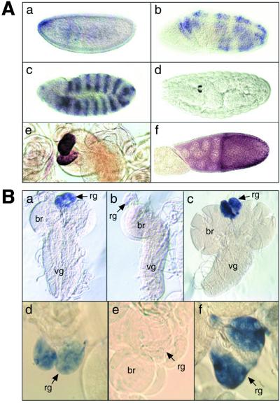 Fig 2.