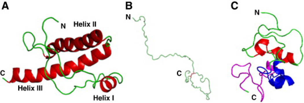 Fig. 25