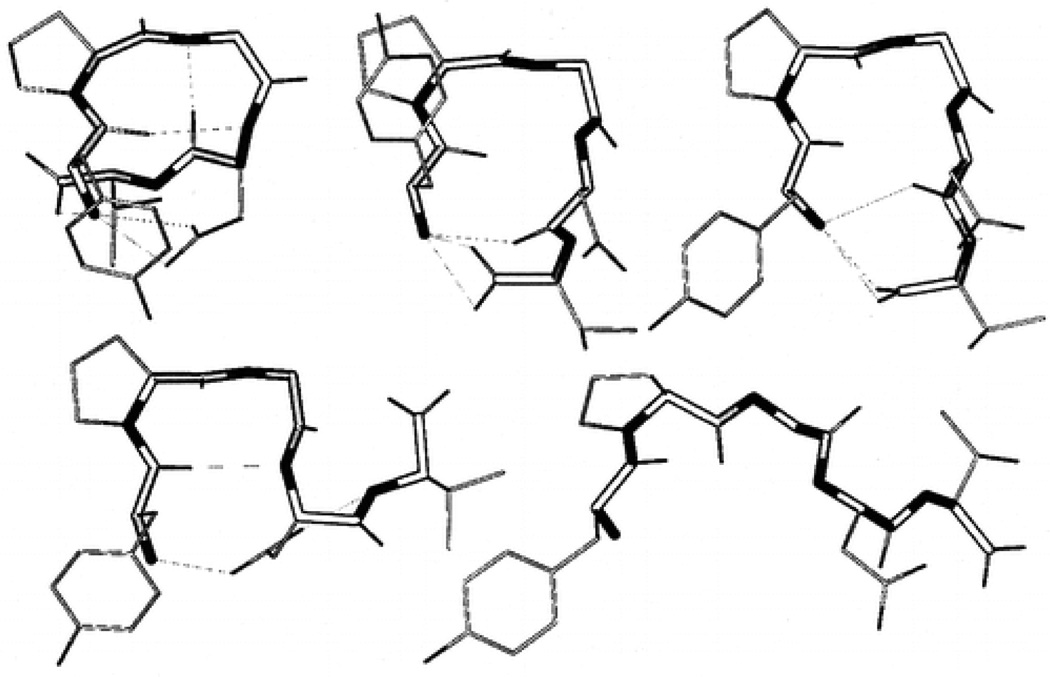 Fig. 20