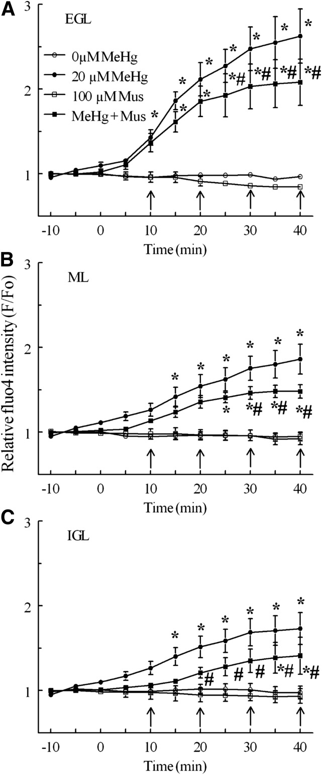 Fig. 9.