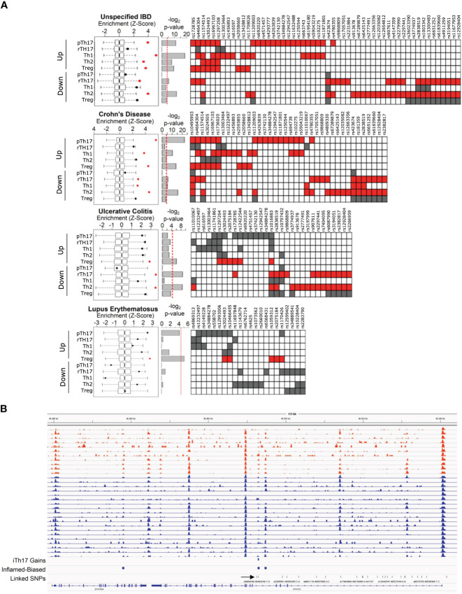 Figure 3