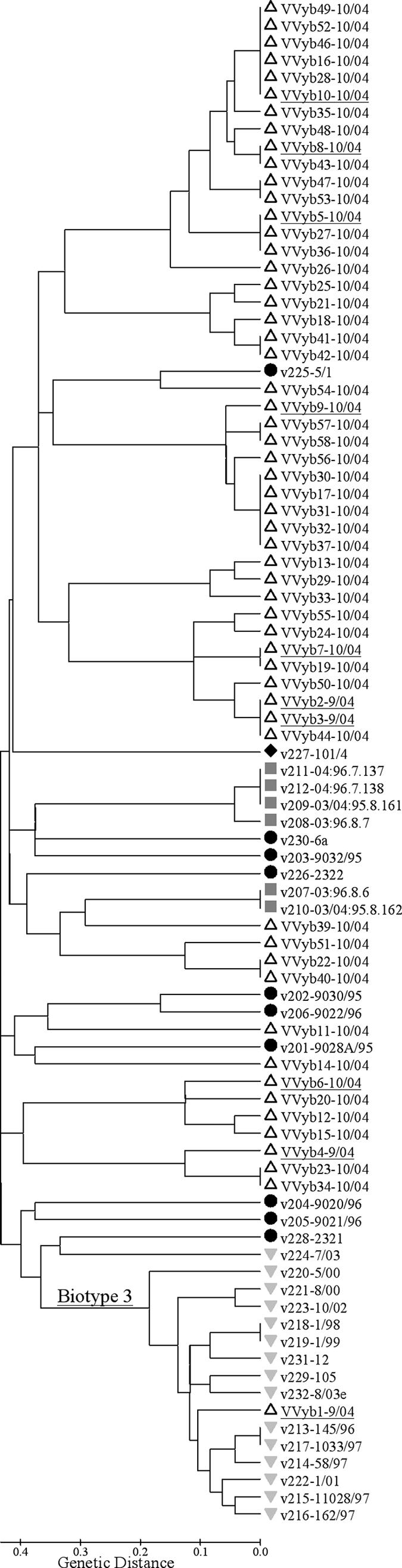 FIG. 4.