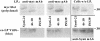 Figure 11.