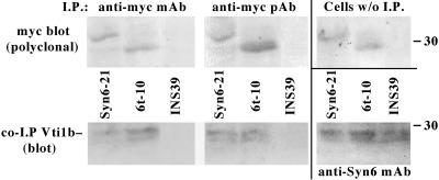 Figure 11.