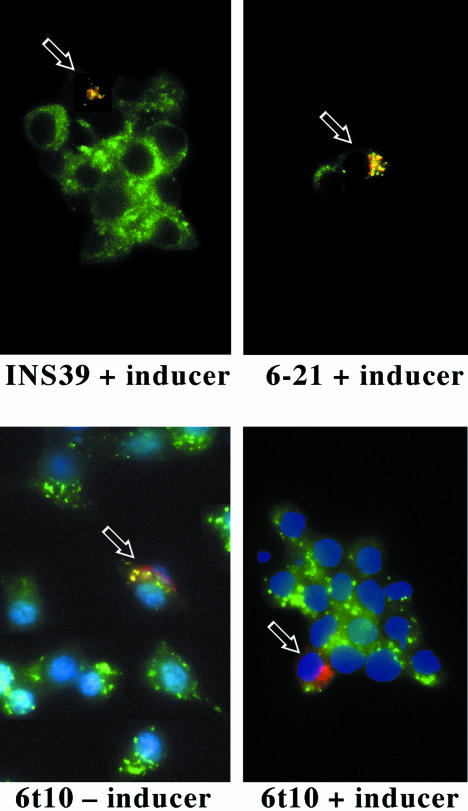 Figure 4.