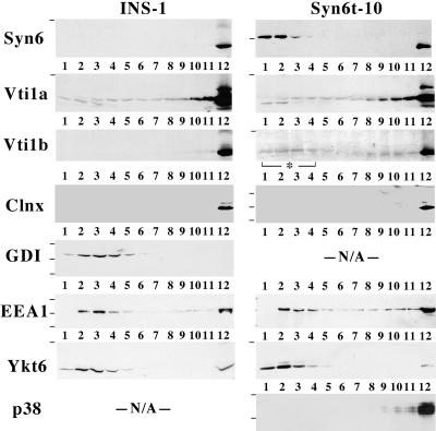 Figure 10.