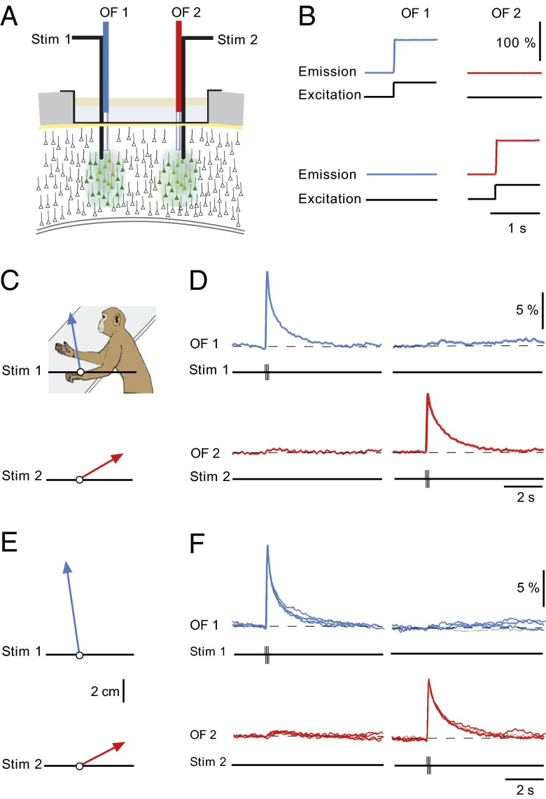 Fig. 3.