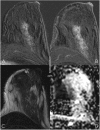 Fig. 10
