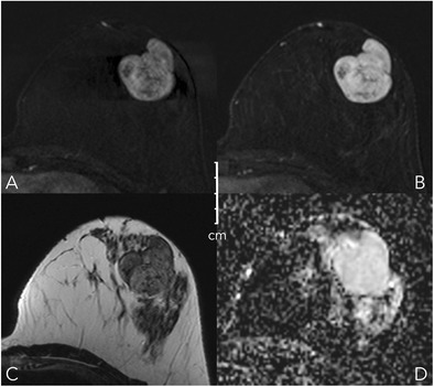 Fig. 8