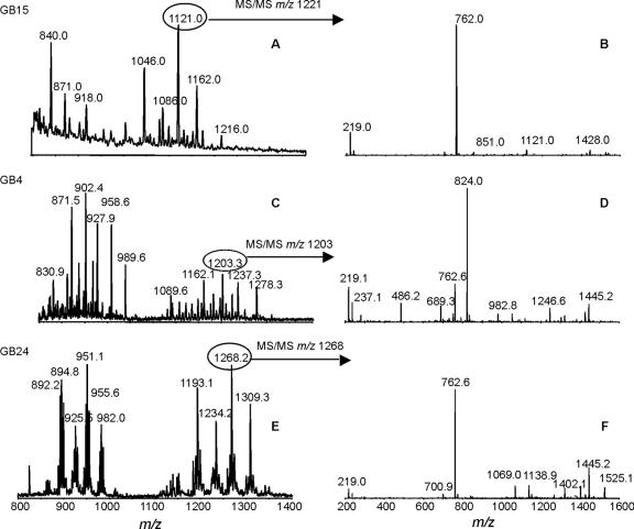 FIG. 2.