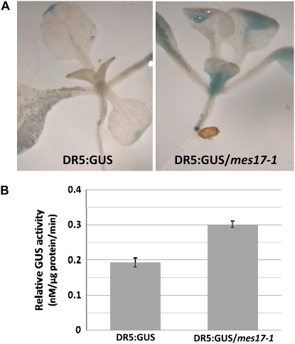 Figure 7.