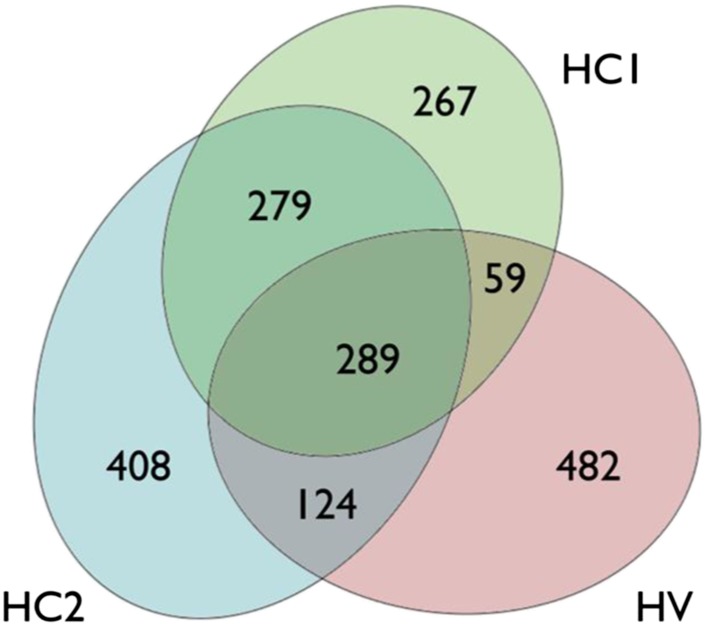 Figure 1—figure supplement 1.