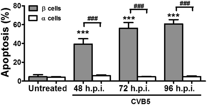 Figure 3—figure supplement 4.