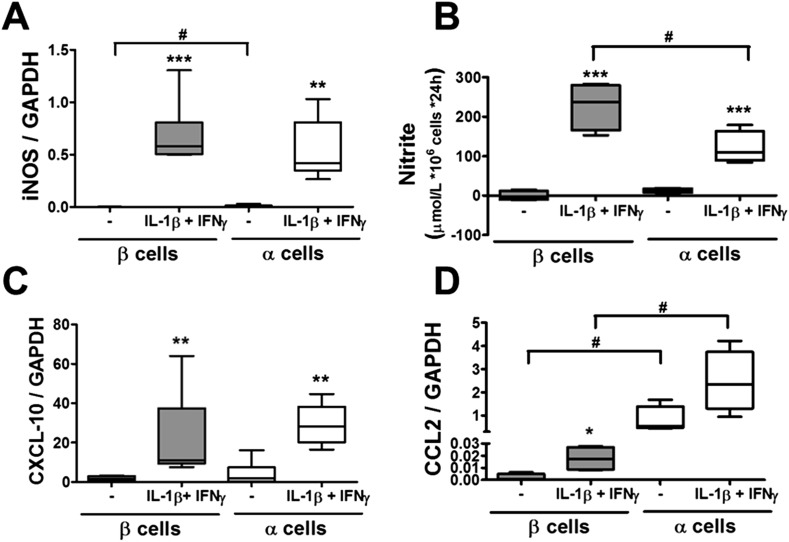 Figure 3—figure supplement 2.