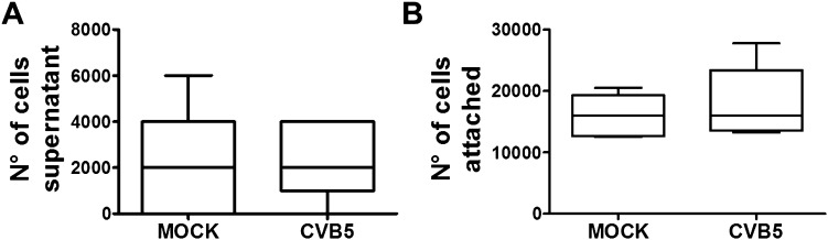 Figure 3—figure supplement 6.