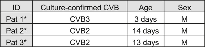 Figure 12—figure supplement 1.