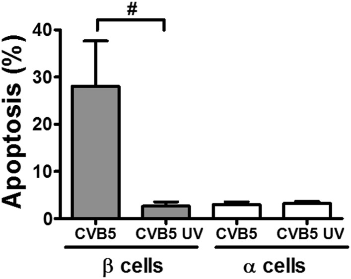 Figure 3—figure supplement 5.