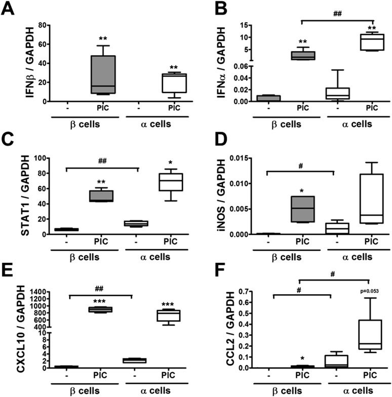 Figure 3—figure supplement 3.