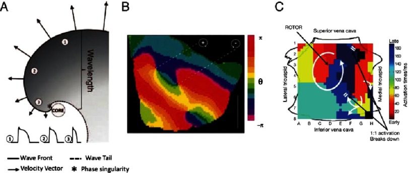 Figure 2.