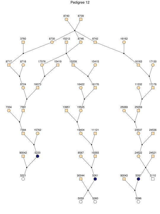 Figure  2. 