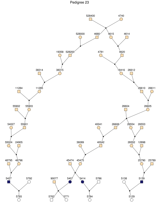 Figure  2. 