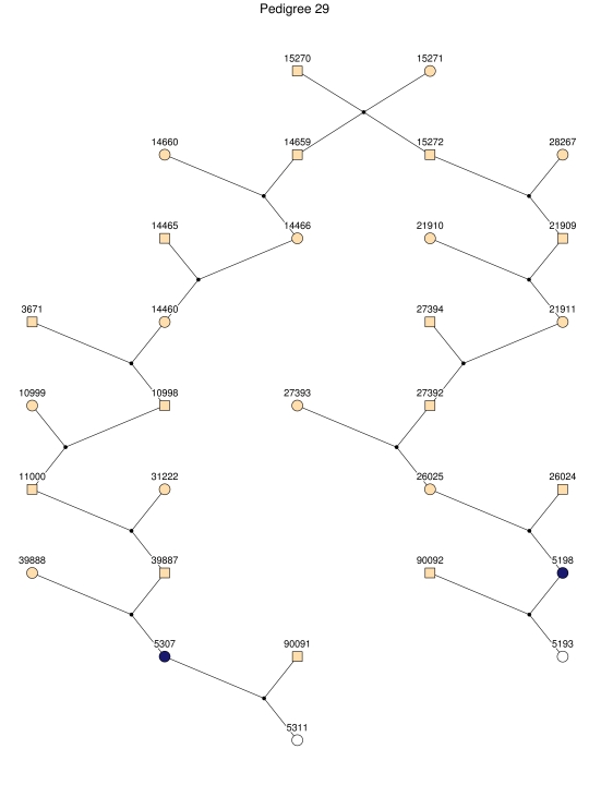 Figure  2. 