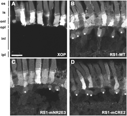 Figure 6.