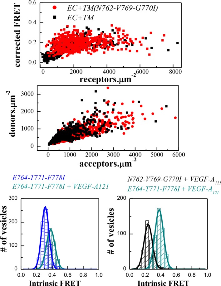 Figure 4—figure supplement 1.