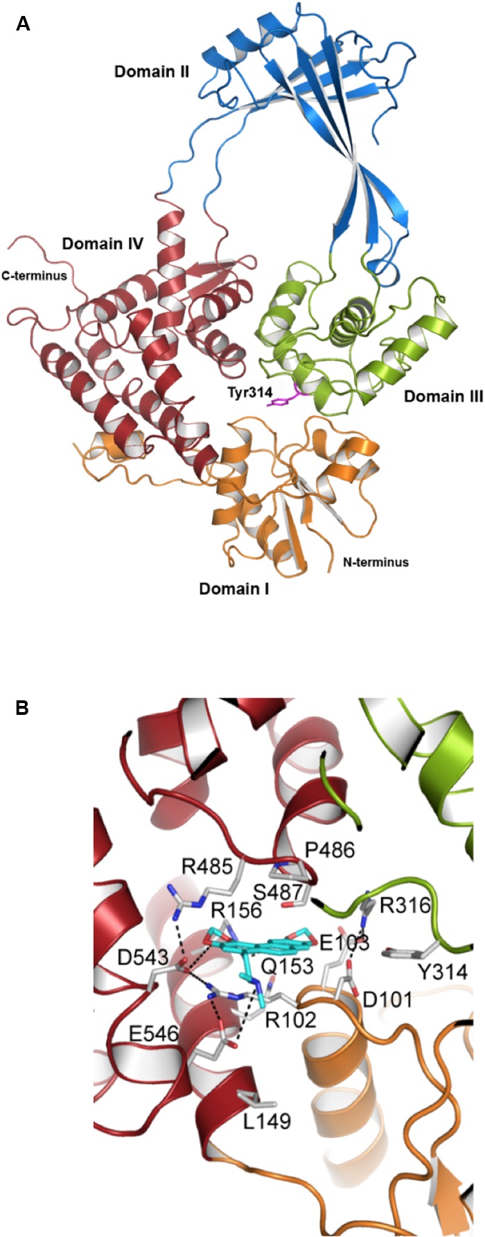 FIGURE 6