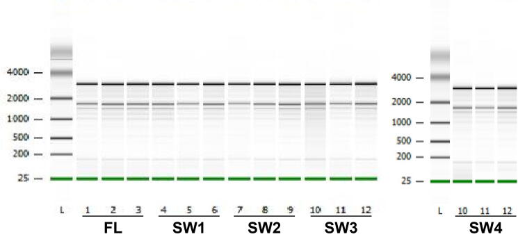 Supplementary Figure S14