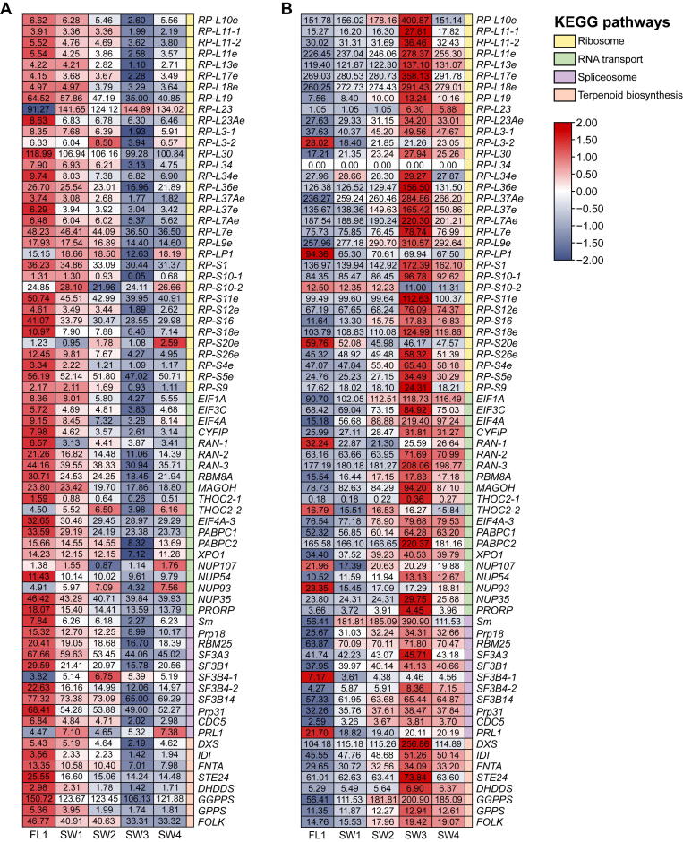 Supplementary Figure S8