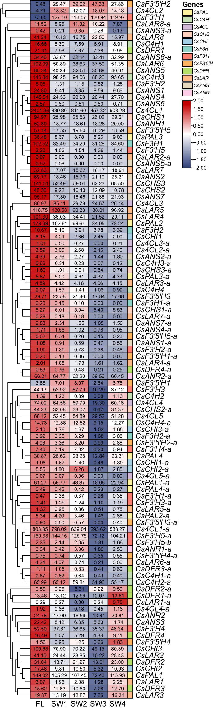 Supplementary Figure S11