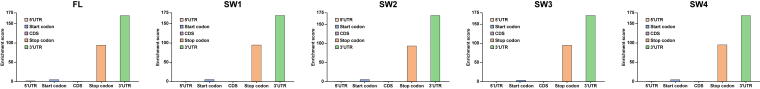 Supplementary Figure S5