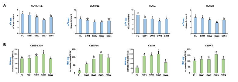 Supplementary Figure S9