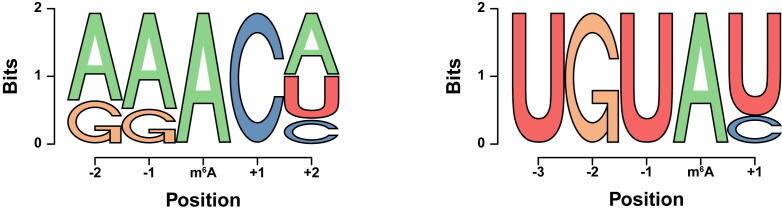 Supplementary Figure S6