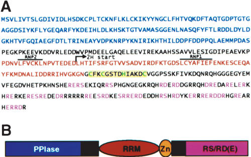 FIGURE 1.