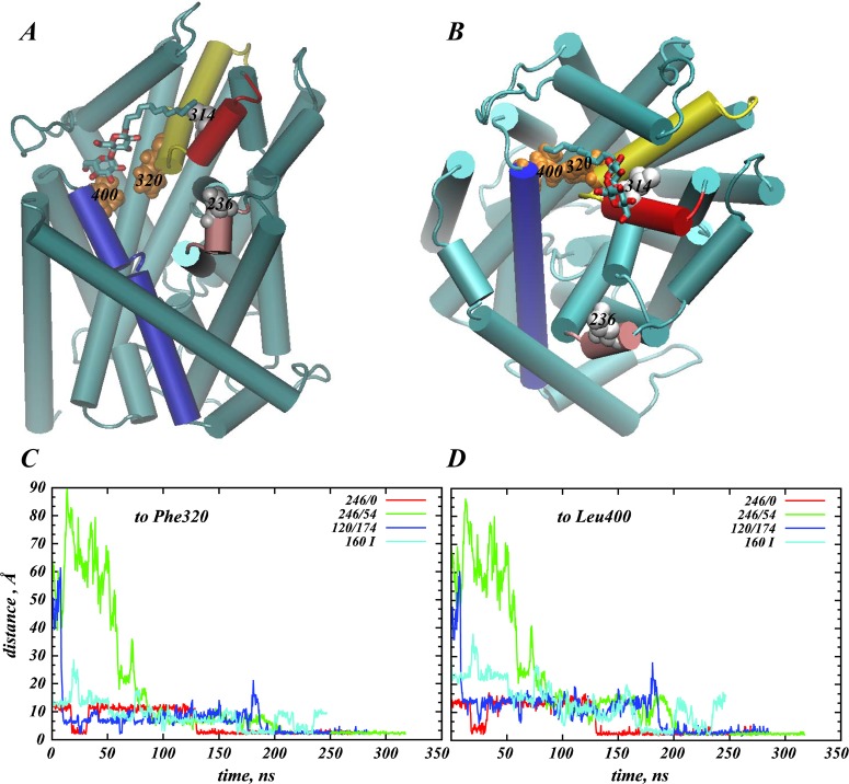 Figure 6