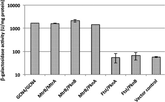 FIG 6