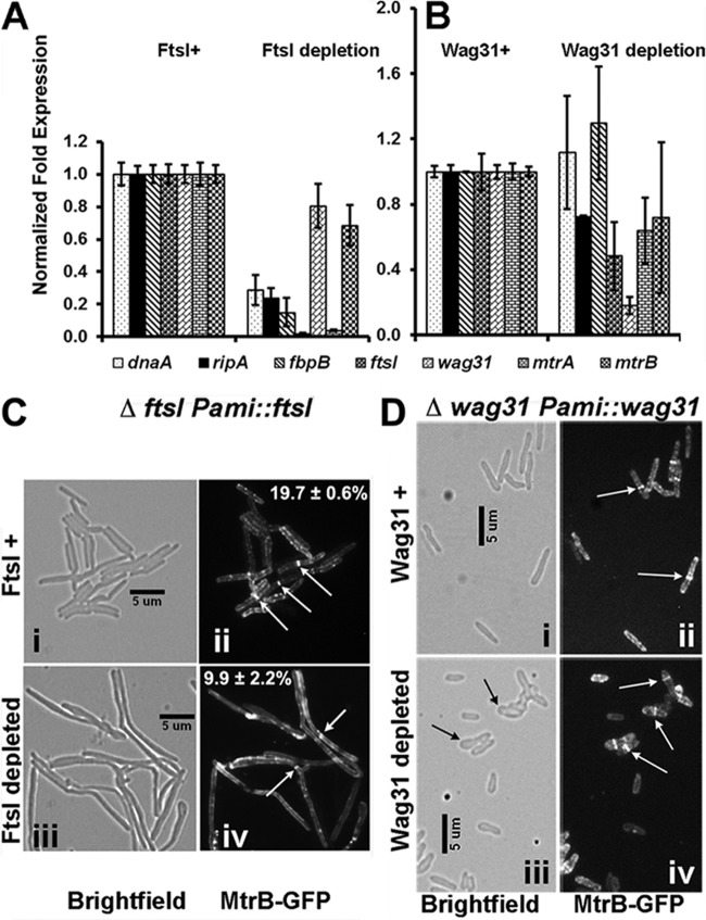 FIG 2