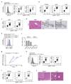 Extended Data Figure 7